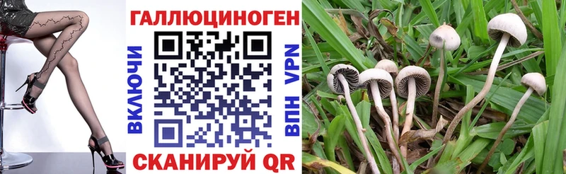Купить закладки  Старая Купавна  Галлюциногенные грибы ЛСД 